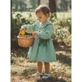 thumbnail image 4 of Loicainy Toddler Baby Girls Dress for St Patrick's Day 6 12 18 24 Months 2T 3T 4T Puff Long Sleeve Crew Neck Shamrock Embroidery Smocked Bow Decor A Line Spring Dresses, 4 of 9