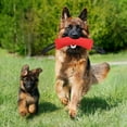thumbnail image 5 of EcoNest Durable Chew For Aggressive Chewers Interactive Long Lasting Puppy Teething Bone Tough Fabric Rope Tug Of War Training Chew Stick Outdoor Play Activity, 5 of 7
