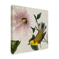 thumbnail image 2 of Trademark Fine Art 'Avian Crop V' Canvas Art by John James Audubon, 2 of 4