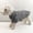 B, variant on Plaid Dog Shirt for Small Breeds, Button-Up Pet Clothes for All Seasons, Comfortable Casual Puppy Outfit