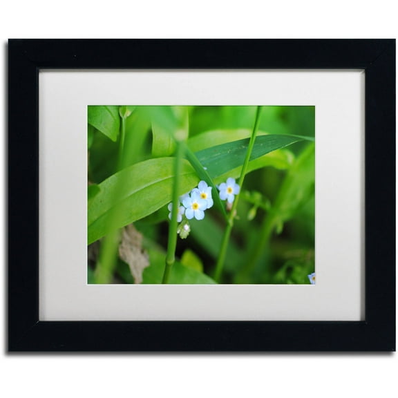 Trademark Fine Art "Limited Perfection" Canvas Art by Monica Mize, White Matte, Black Frame