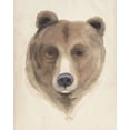 thumbnail image 2 of Popp, Grace 15x18 White Modern Wood Framed Museum Art Print Titled - Watercolor Animal Study VI, 2 of 4