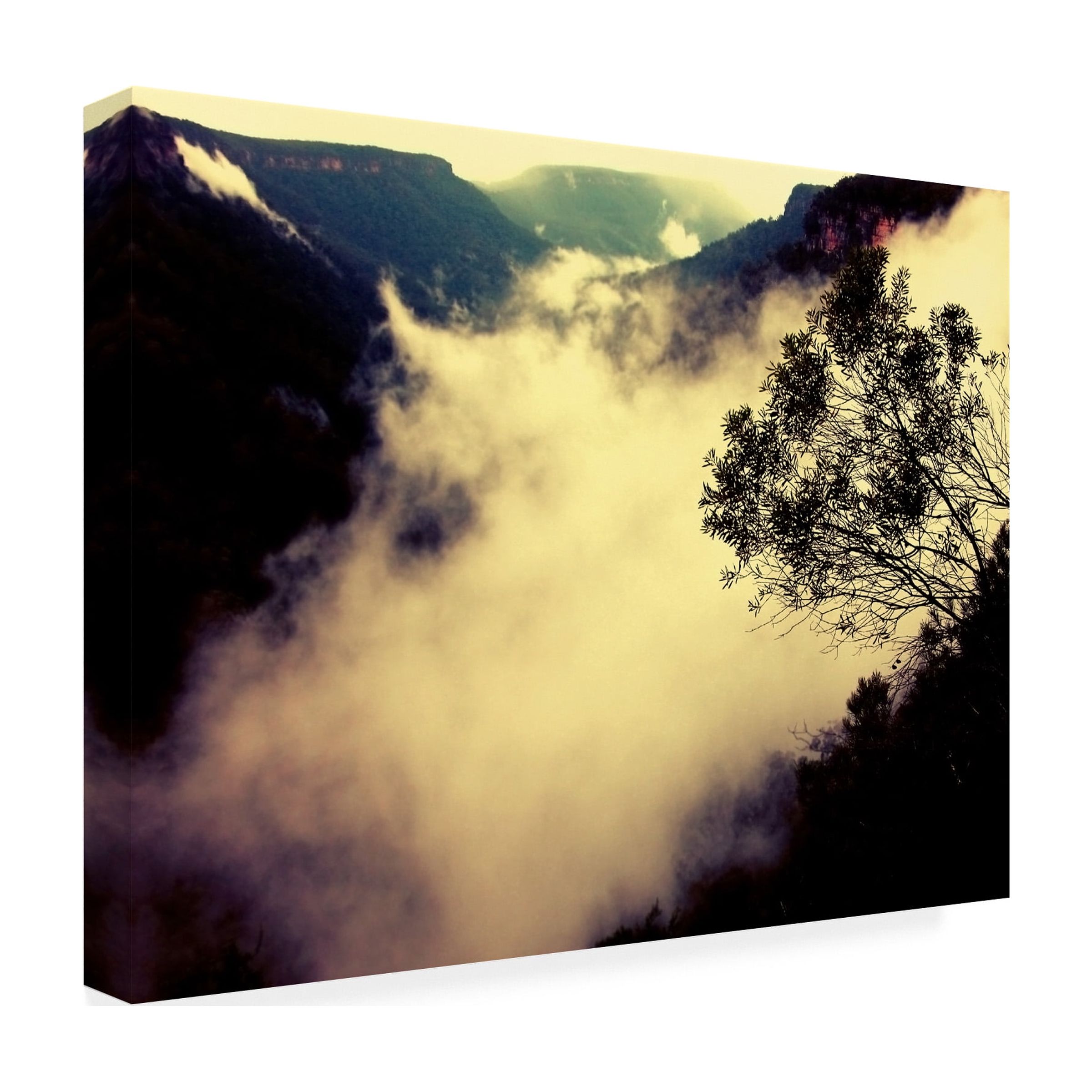 Trademark Fine Art "Valley of Light" Canvas Art by Beata Czyzowska Young