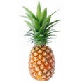 thumbnail image 2 of Pineapple Objects White Wall Mural Decal by Wallmonkeys Vinyl Peel and Stick Graphic (18 in H x 10 in W), 2 of 4