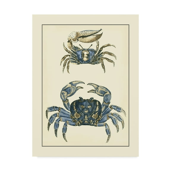 Trademark Fine Art 'Antique Blue Crabs II' Canvas Art by Vision Studio