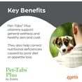 thumbnail image 4 of Pet-Tabs Plus Multivitamin and Mineral Supplement for Dogs with Special Nutritional Needs, Chewable Tablet, 60 Count Bottle, 4 of 5