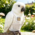 thumbnail image 4 of Summer Breathable Parrot Diaper Kit, Reusable Washable Bird Nappy with 1.4m Walking Leash, Free 10 Disposable Pee Pads Included, Bird Diaper Clothes for Parrots, Cockatiels, Conures & Pigeons, 4 of 4