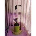 thumbnail image 3 of Full Spectrum Led Plant Grow Lights Table Desk Lamp 30W E27 for Home Indoor Plants Growing, 3 of 6