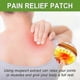 thumbnail image 4 of Wormwood Body Care Patch Waist Neck Shoulder Vertebra Knee Joint Body Care -10Pieces W, 4 of 5