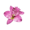 thumbnail image 1 of Horquilla con Patrón de Flores Sonducket Accesorio para el Cabello Violeta, 1 of 6