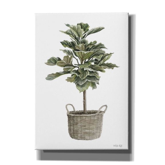 Epic Graffiti 'Fig Tree II' by Cindy Jacobs, Canvas Wall Art, 18"x26"