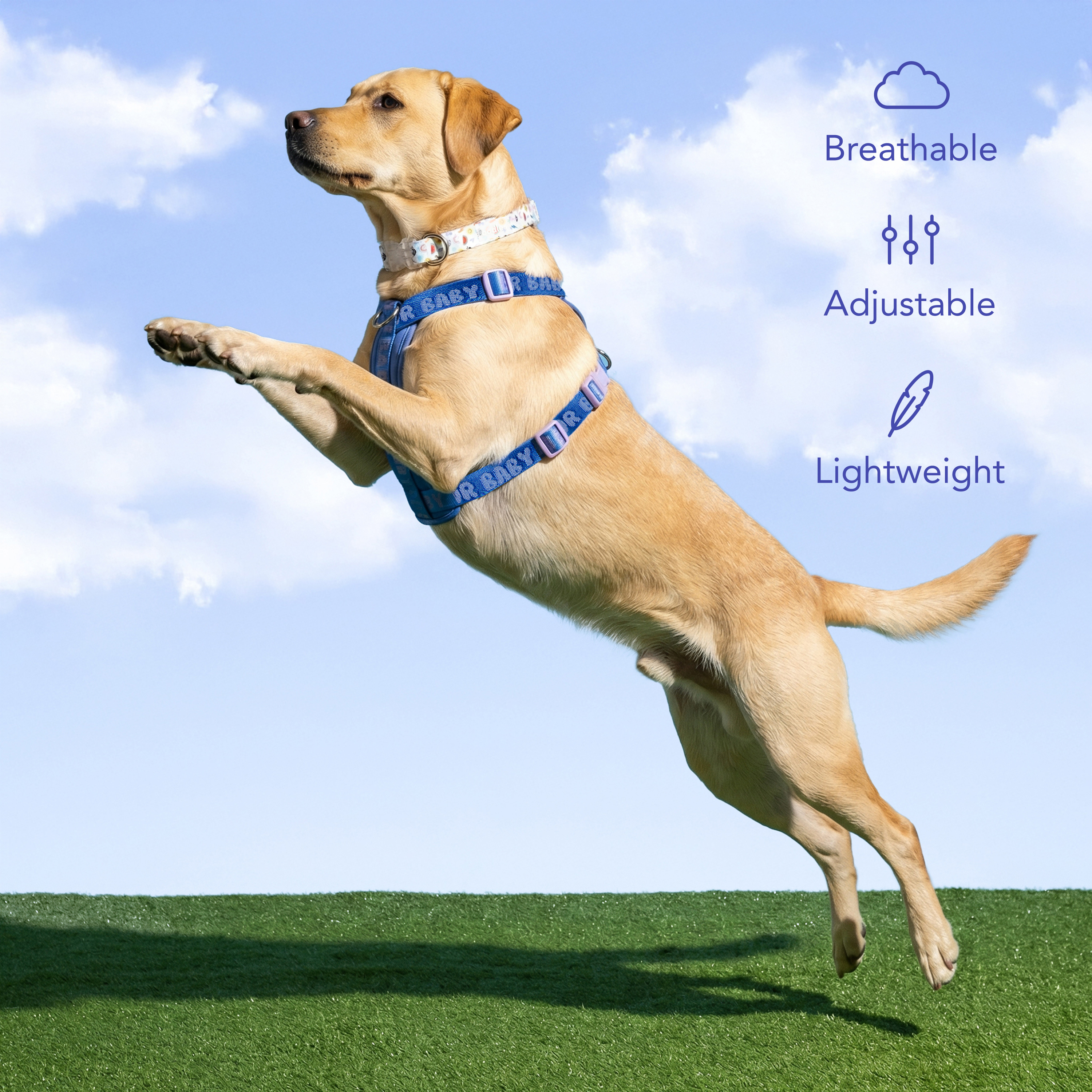 Oodles Polyester Fur Baby Step-In Dog Walking Harness, Blue photo 7