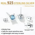 thumbnail image 4 of ChicSilver Cat Birthstone Earrings for Women 925 Sterling Silver Hypoallergenic Cat Memorial Gifts Lovers Jewelry Valentines Day Birthday Gifts for Sister Mom Wife, 4 of 8