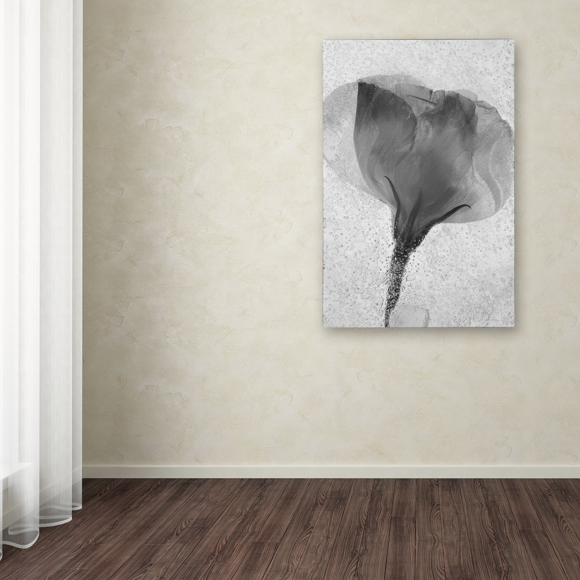 Trademark Fine Art "Flowers on Ice BW-2" Canvas Art by Moises Levy