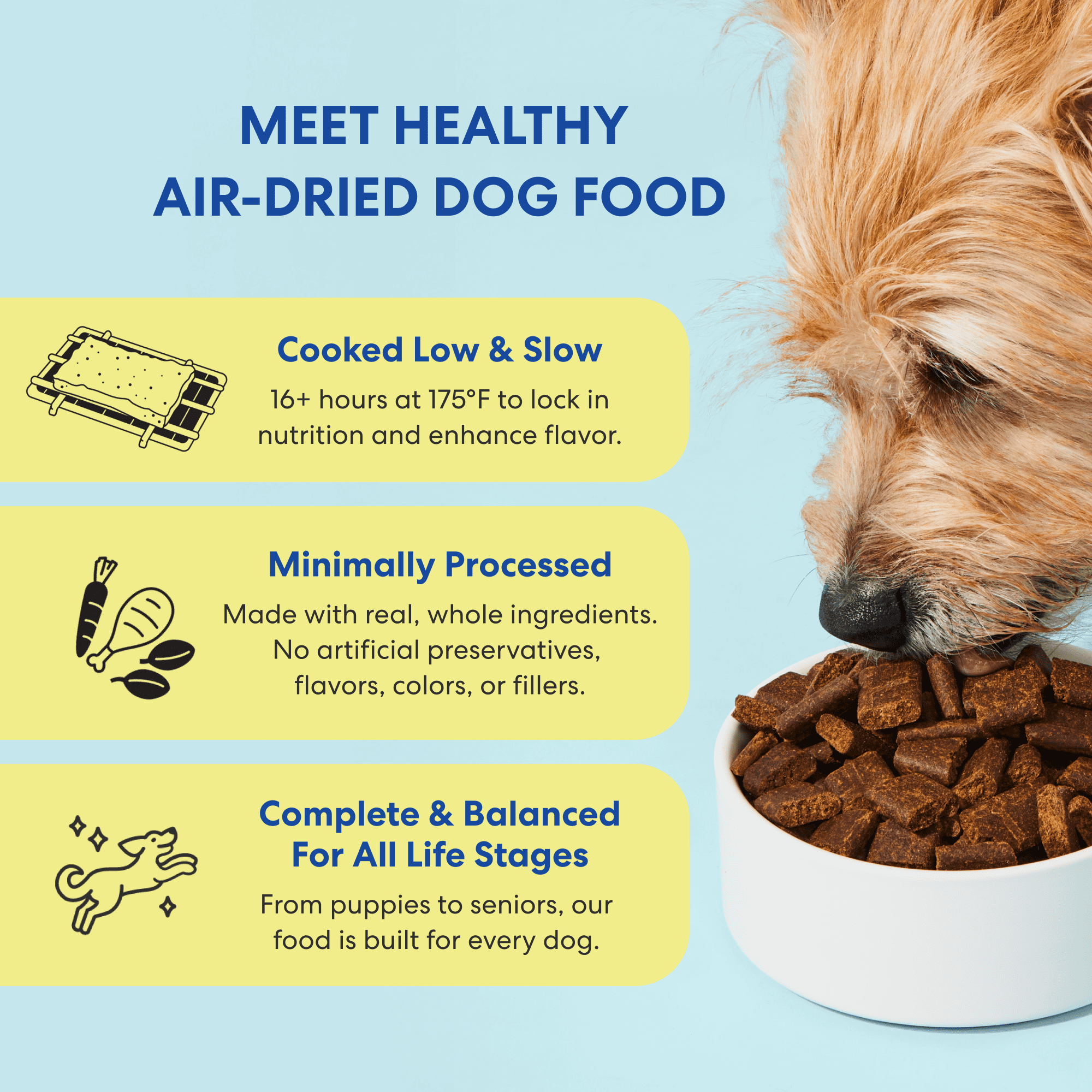 The Pets Table Chicken & Sweet Potato Air-Dried Dog Food, 3 lb