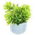 thumbnail image 2 of Miangastore Miniature Potted Plant Blue 1Set 1.8x1Inch Plastic Home Accessory, 2 of 8