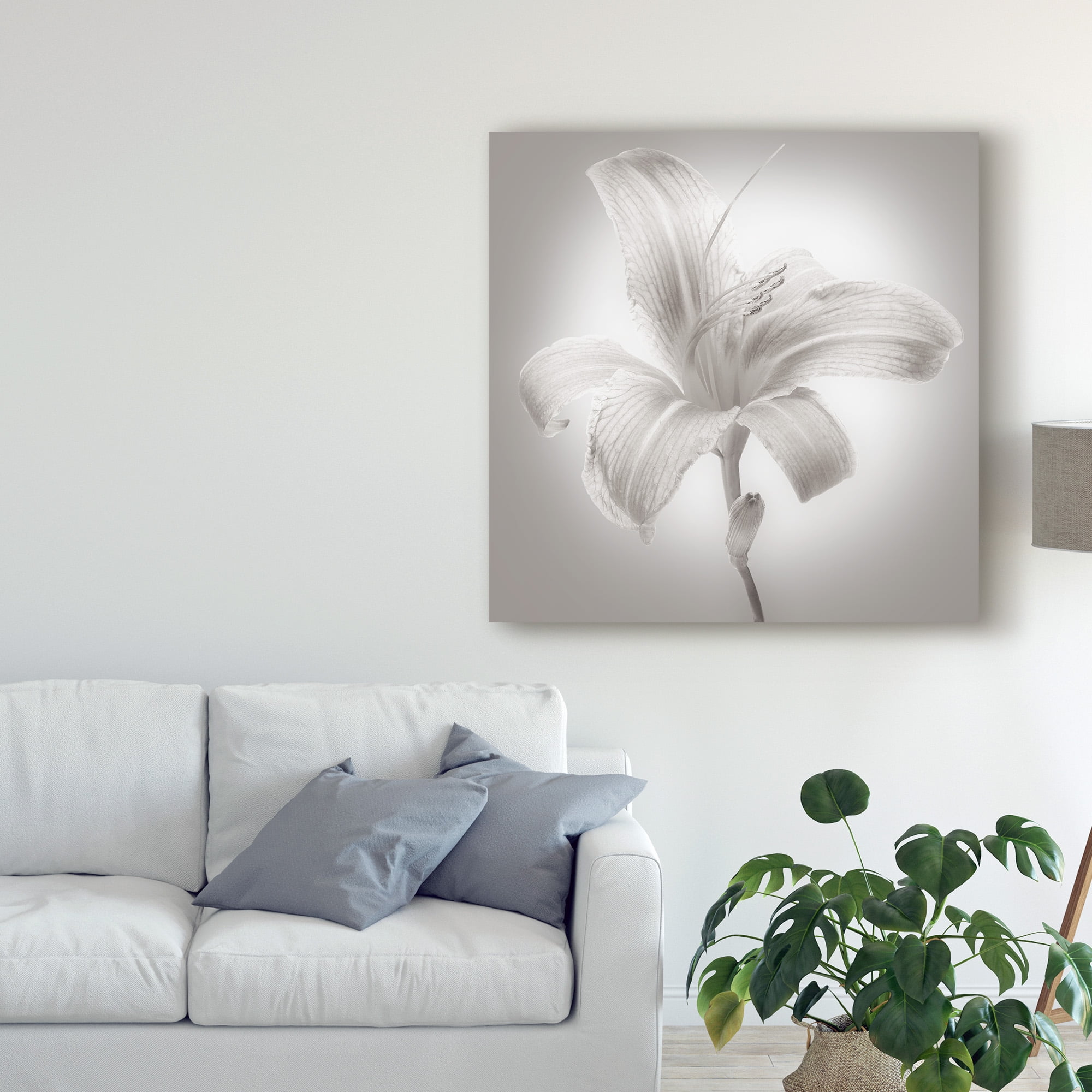 Trademark Fine Art 'Tiger Lily I' Canvas Art by James McLoughlin