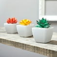 thumbnail image 6 of (3 pack) Mainstays Artificial Succulent Pick 3 inch x 4.5 inch Green Echeveria, 6 of 6