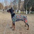 thumbnail image 5 of Pet Funny Cool Print Four-Legged Shirt Breathable Soft Puppy Jumpsuit Bodysuit For Small Dogs All Seasons, 5 of 9