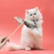 thumbnail image 5 of Juguete de plumas para mascotas JShteea palo de gato cabeza de repuesto colgante de barra de gatito Libre de BPA, 5 of 8