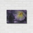 thumbnail image 3 of Luxe Metal Art 'Purple Pansy' by Lori Deiter, Metal Wall Art, 24"x16", 3 of 8