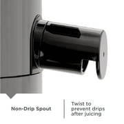 BLACK+DECKER Fruit & Vegetable Juicer Extractor, 400-Watt, Quiet, Black Plastic