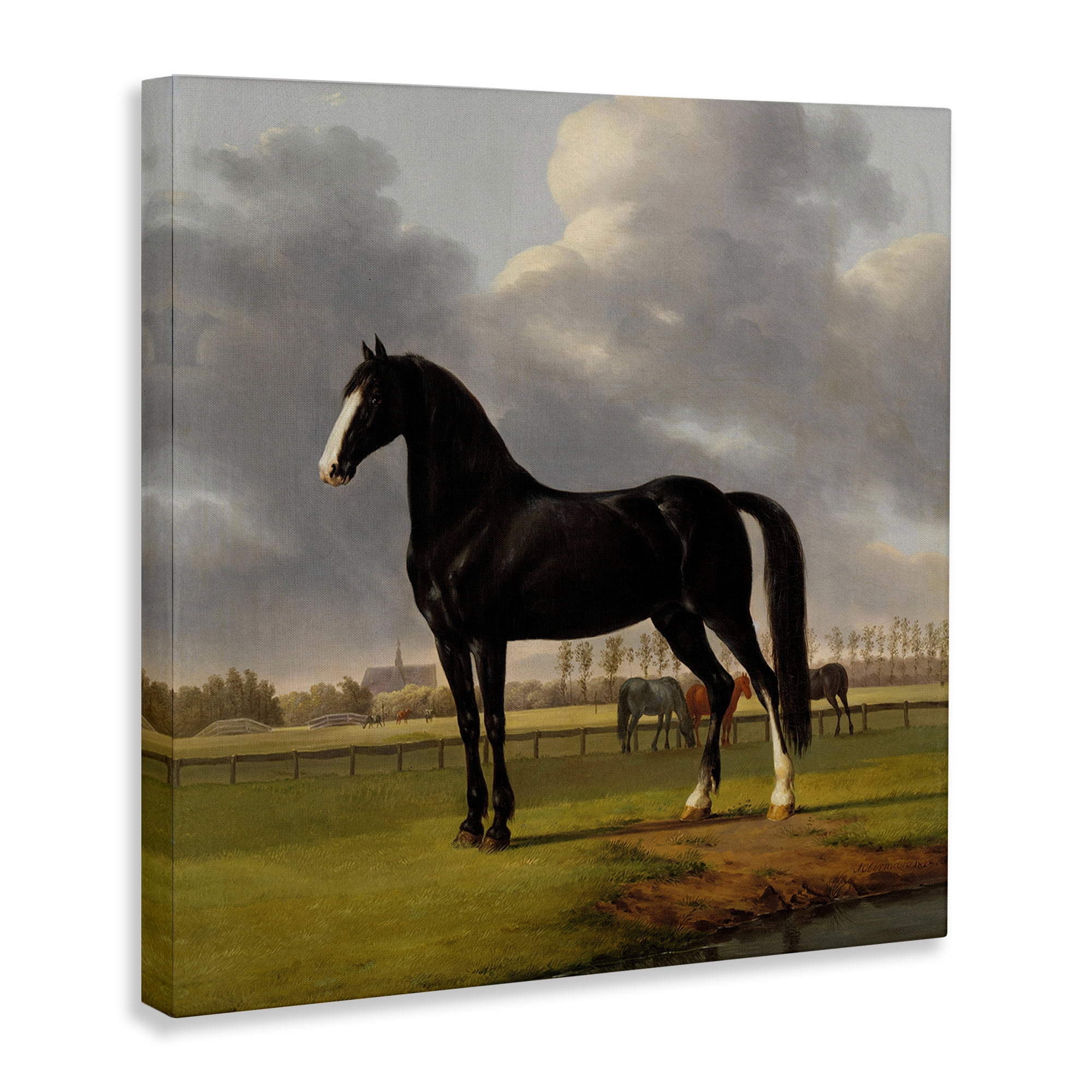Stupell Industries Classic Black Stallion Animals Painting Wrapped Canvas Art Print Wall Art, 24 x 24