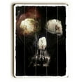 thumbnail image 2 of One Bella Casa 82509PW1216 12 x 16 in. Cave Skull Planked Wood Wall Decor by Ali Gulec, Multicolor, 2 of 2