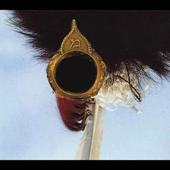 John Zorn - New Masada Quartet - Music & Performance - CD