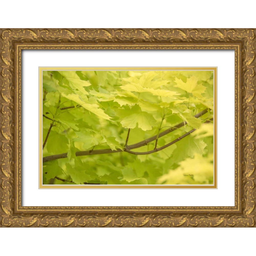 Murdock, Ramona 32x23 Gold Ornate Wood Framed with Double Matting ...