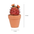 thumbnail image 5 of Mainstays 4.72" Artificial Potted Cactus - Red with Orange Flowers, 5 of 6