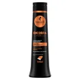 thumbnail image 2 of Haskell - Linha Encorpa Cabelo - Kit Shampoo e Condicionador (2 x 500 Ml) - (Thickens Hair Collection - Set with Shampoo & Conditioner (2 x 16.91 Fl Oz)), 2 of 2