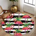 thumbnail image 2 of Round Rugs 5Ft, Striped Flamingo Round Area Rug Washable Indoor Throw Carpet, Pink Birds Green Palm Leaf Black White Soft Non Slip Circle Rug for Cabinet Bathroom Home Decor Aesthetic, 2 of 8