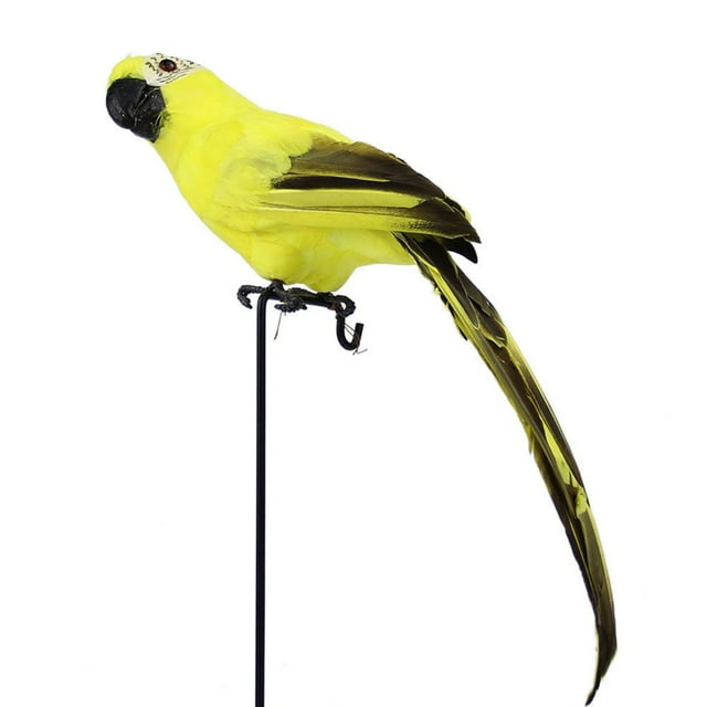 MesaSe Parrot Ornament Durable Good-looking Decorative Cleat Texture Realistic office Parrot Ornament Home Decoration