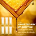 thumbnail image 4 of 20Pcs Queen Cell Protective Covers Plastic Beehive Cell Protector Safety Guard, 4 of 8