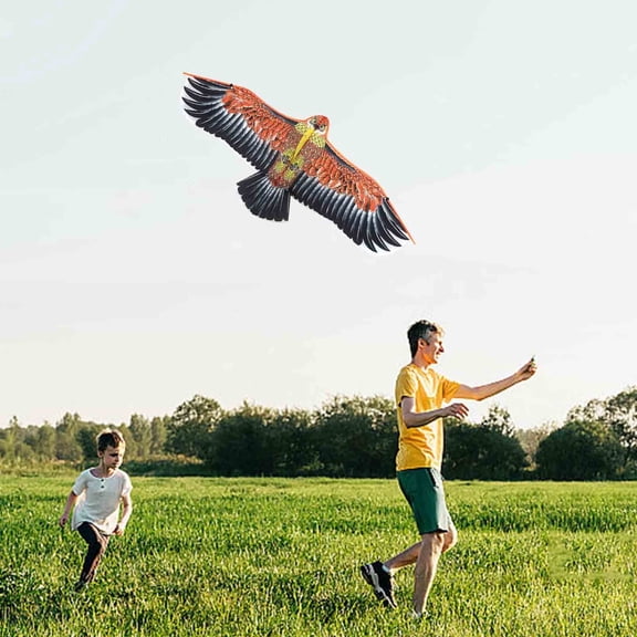 Kite, Eagle Kite for Kids and Adults, Single Line String Easy to Fly for Beach Trip Park Family Outdoor Games and Activities, kites for kids ages 8-12(Black,43.3in)