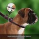 thumbnail image 2 of Real Leather Slip Lead Dog Leash, Adjustable Stitched Pet Slip Leads With Slider, Heavy Duty Flat Do, 2 of 3