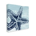 thumbnail image 3 of Stupell Industries Modern Sea Life Starfish Graphic Art Gallery Wrapped Canvas Print Wall Art, Design by June Erica Vess, 3 of 7