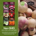 thumbnail image 3 of 6 Pack Root Vegetable Seed Collection - Heirloom Full Sun Biennial Vegetables, 3 of 6