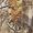 Camo, variant on Men's Moisture Wicking Thermals, Mens Bottoms, Long Underwear, Camouflage, Medium