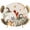 Orange, variant on Round Table Cover 55-60 Inch White Green Pumpkins Fall Waterproof Reusable Table Cloth Round Fitted Vinyl Tablecloth with Elastic Edged for Parties Outdoors, Thanksgiving Floral Gray Wooden
