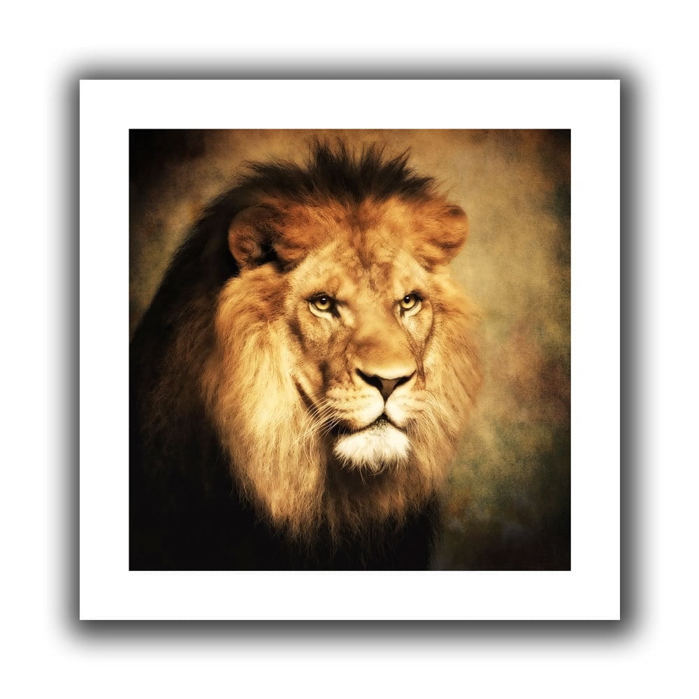 Jerry Lofaro "Creative Problems" Gallery-Wrapped Canvas