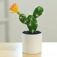 thumbnail image 4 of Artificial Cactus Plants, Mini Fake Desert Plants in White Pots, 4 of 8