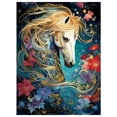 thumbnail image 1 of Cheval Carré Rond Broderie Diamant Animal Mosai 30*40 cm, Cadre Non Inclus.,2-Tz, 1 of 3