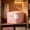 Pink, variant on Double-Layer Clear Window Storage Bag, Large Capacity Foldable Organizer for Down Jackets, Quilts & Bedding