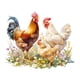 thumbnail image 1 of Calcomanía de pared decorativa de gallo y pollo, papel tapiz de PVC fácil de quitar para granja, comedor, sala de estar, ventanas de vidrio, 1 of 9