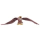thumbnail image 4 of Eagle Model, Juguetes para nios Cultive la curiosidad de los nios Decoración de escritorio en el hogar Recopilación de obras de arte para coleccionistas de pasatiempos para la oficina para LHCER 1, 4 of 8