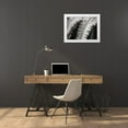 thumbnail image 3 of Christensen, Jim 18x15 White Modern Wood Framed Museum Art Print Titled - Fern I, 3 of 4