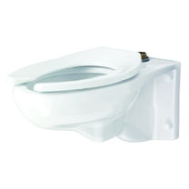 Gerber Plumbing 282796 1. 28 Wallhung T. Spud Bowl Wh