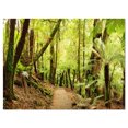 thumbnail image 2 of Paysage Panorama de la Forêt Tropicale - Impression sur Toile de Photographie, 2 of 3